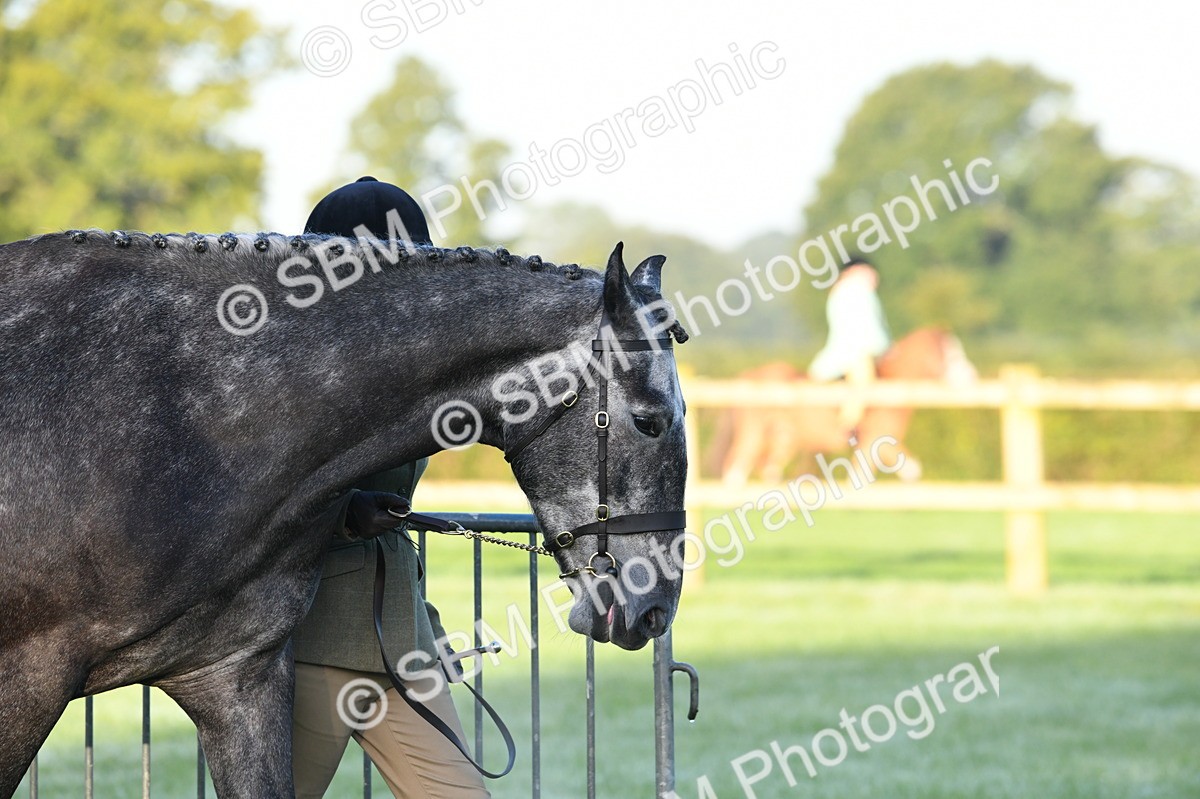 SBM_32465 - S15 - Condition & Turnout In Hand