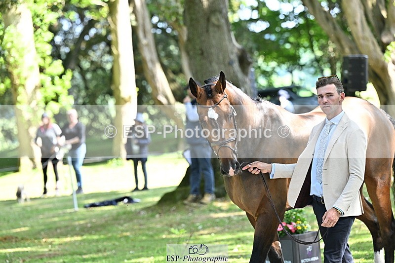 250521A-154741-00766 - B-367-Tom.Grant-QUID