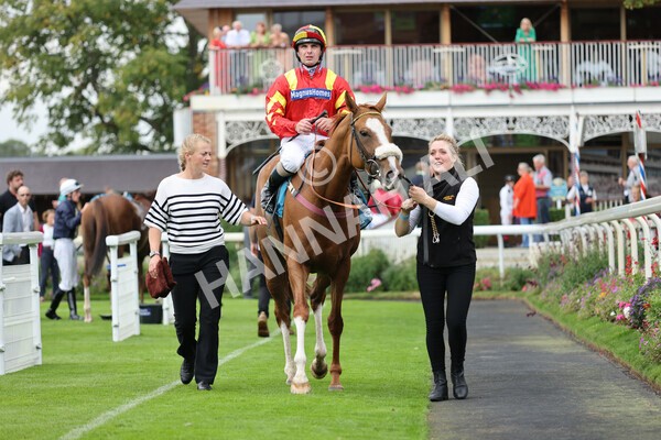 yr04092022r3-42 - Race 3 2.55pm The Elevator Company Garrowby Stakes