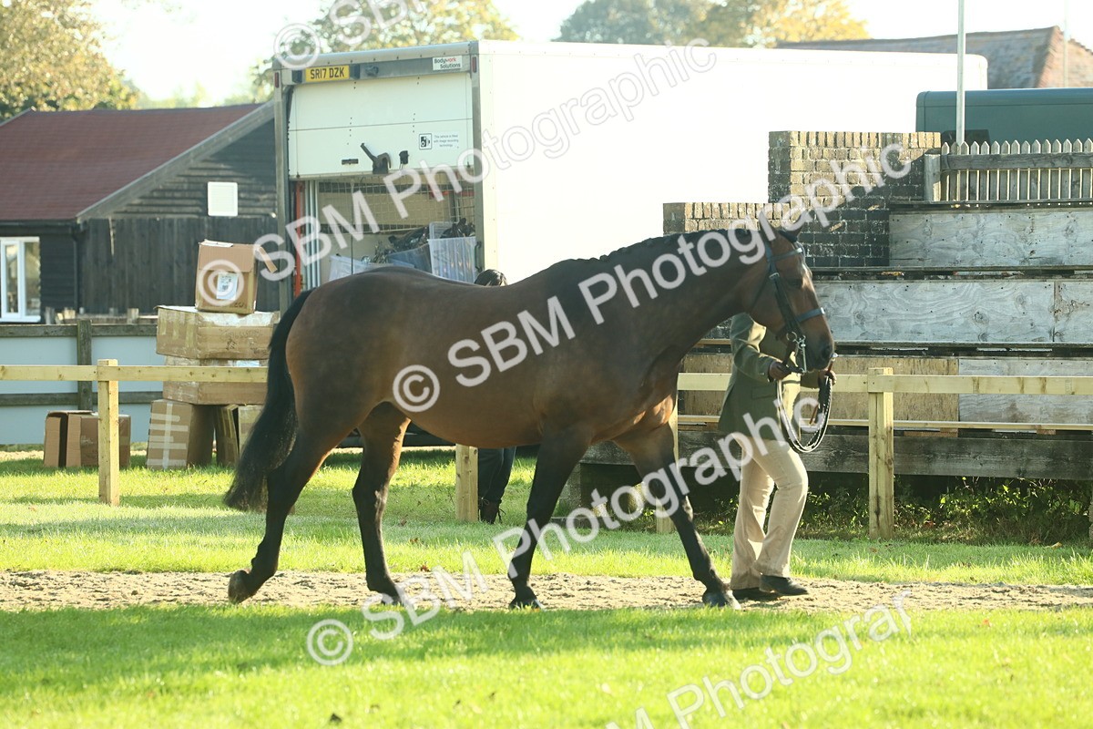 SBM_58524 - S37 - Starters In Hand Showing