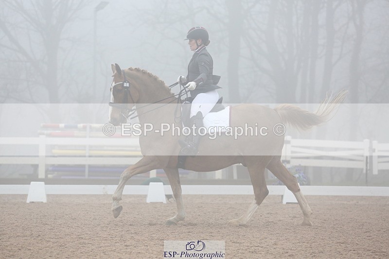 240217A-125758-03000 - 103-Ruth.Saunders-Dizzy.Rascal.VII