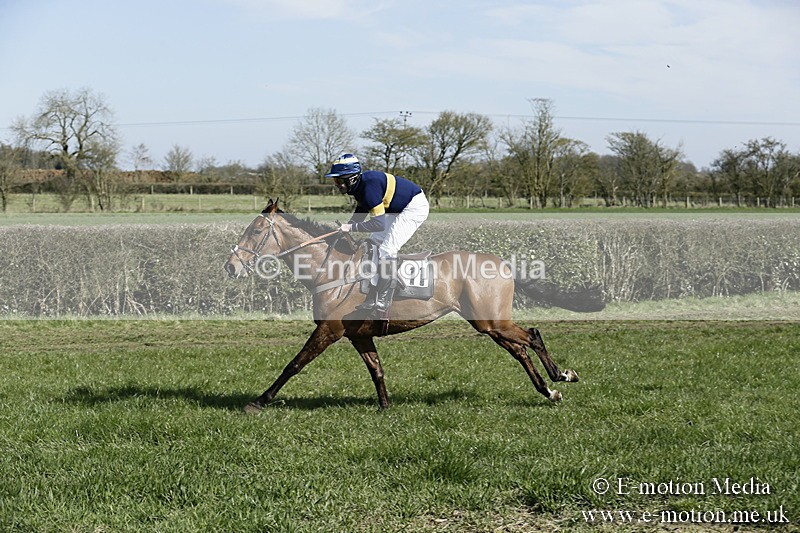PtP 250317 110 - V.W.H. Hunt Point-to-Point Siddington 25/03/17