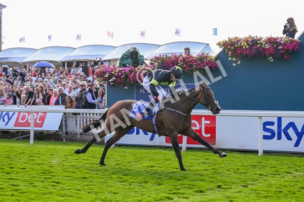 240824-Race 4-Magical Zoe-1663 - Race 4 3.35pm Sky Bet Ebor Handicap