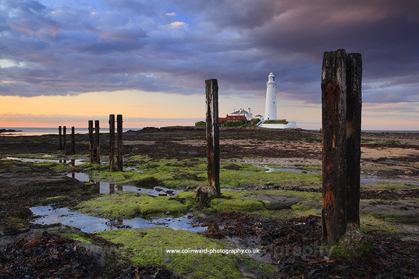 St Marys Lighthouse, Whitley Bay. ref  8138 - Tyne and Wear