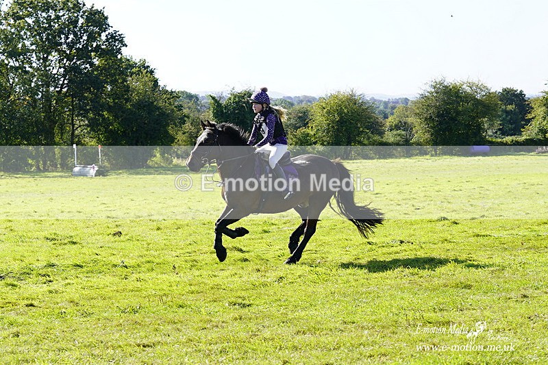  WWHT 031021 1302 - Open Novice (0.80m) 03/10/21