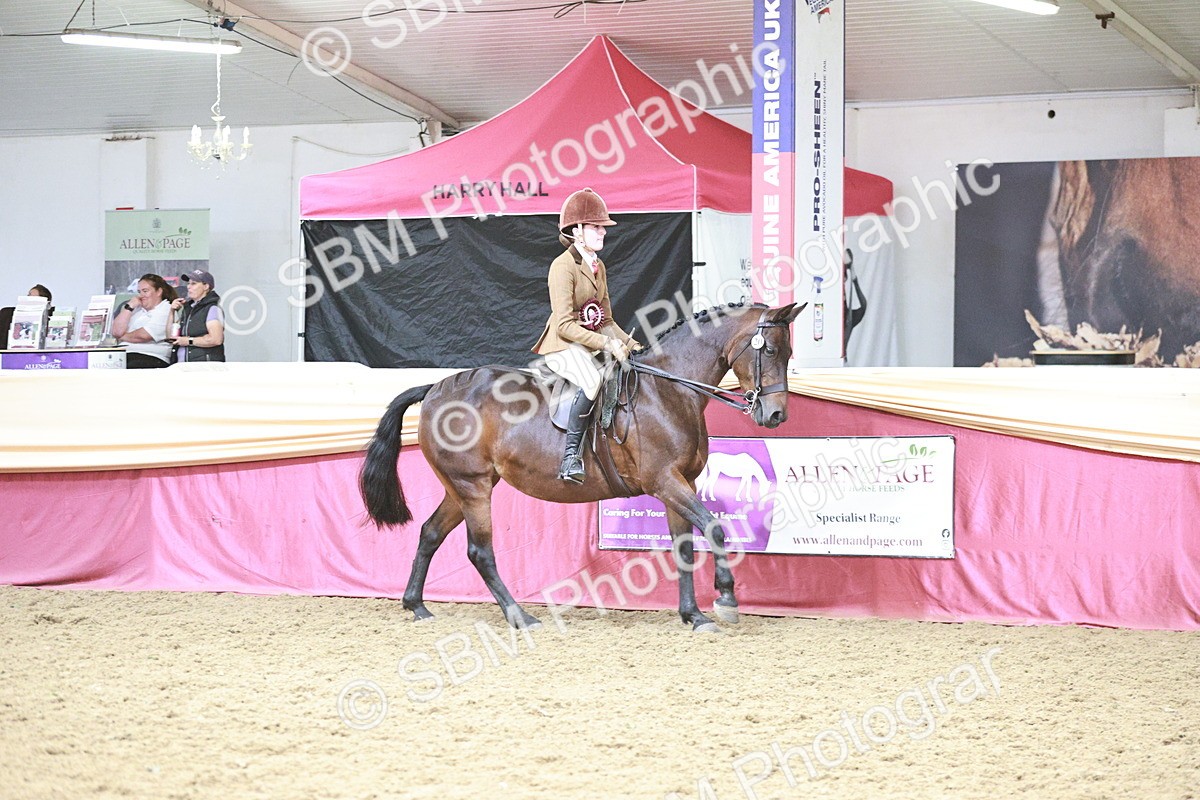 SBM_08658 - Regional Ridden Champ