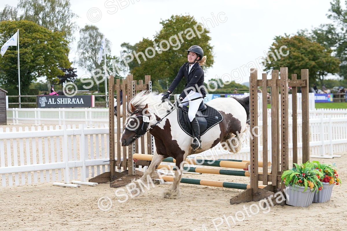 SBM_40719 - Supreme Championship Pony 50-55cm