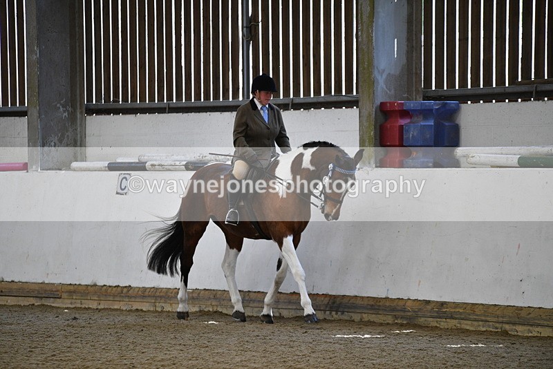 WJ5_5905 - Class 9 Ridden Veteran