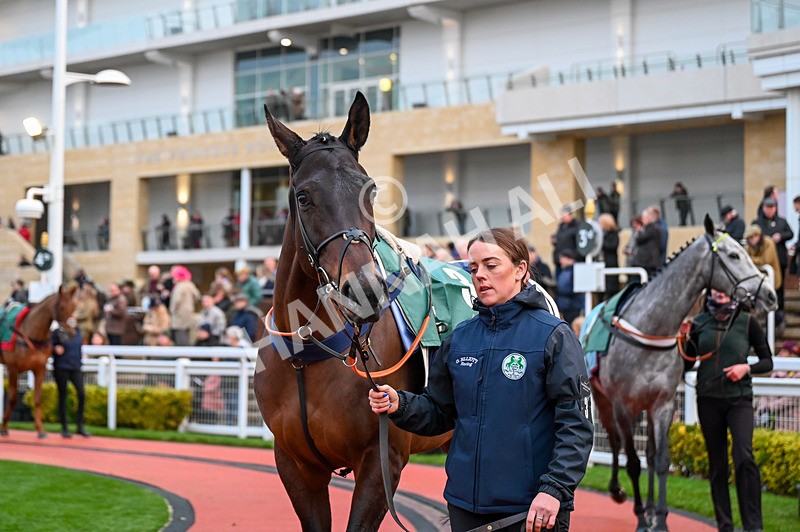 141224-Race 7-Wodhooh-0911 - Race 7