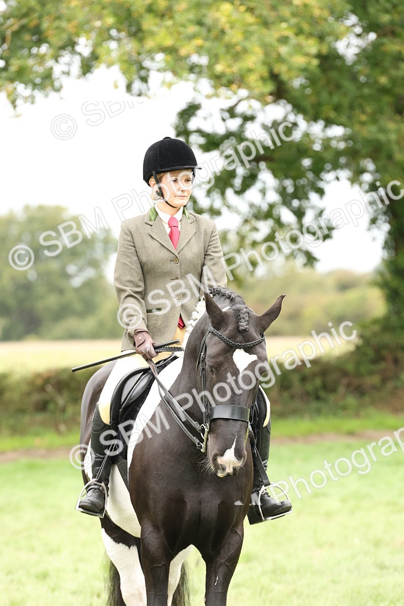 SBM_67304 - S67 - Piebald & Skewbald Horse Ridden