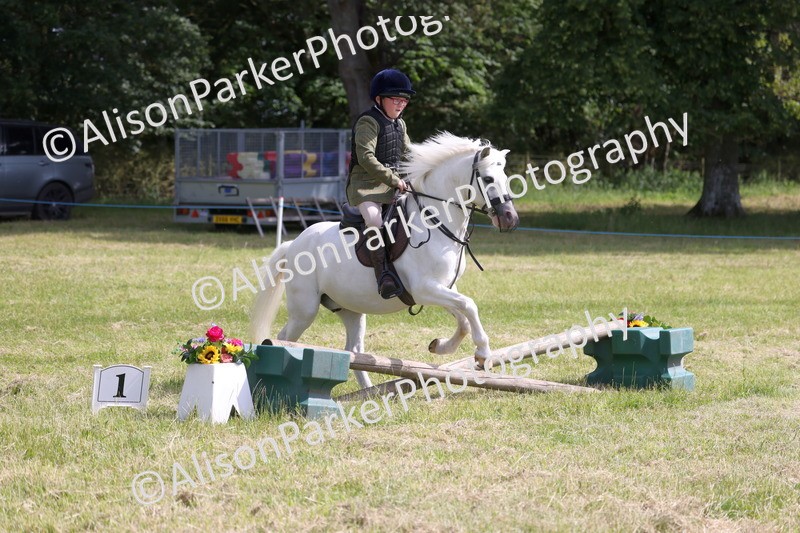 20260614-0711 - Class 20 - Beginners Working Hunter Pony