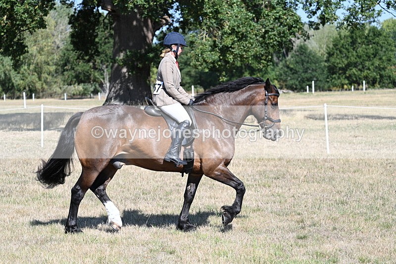 WJ7_3941 - Class 9 Mountain & Moorland Ridden