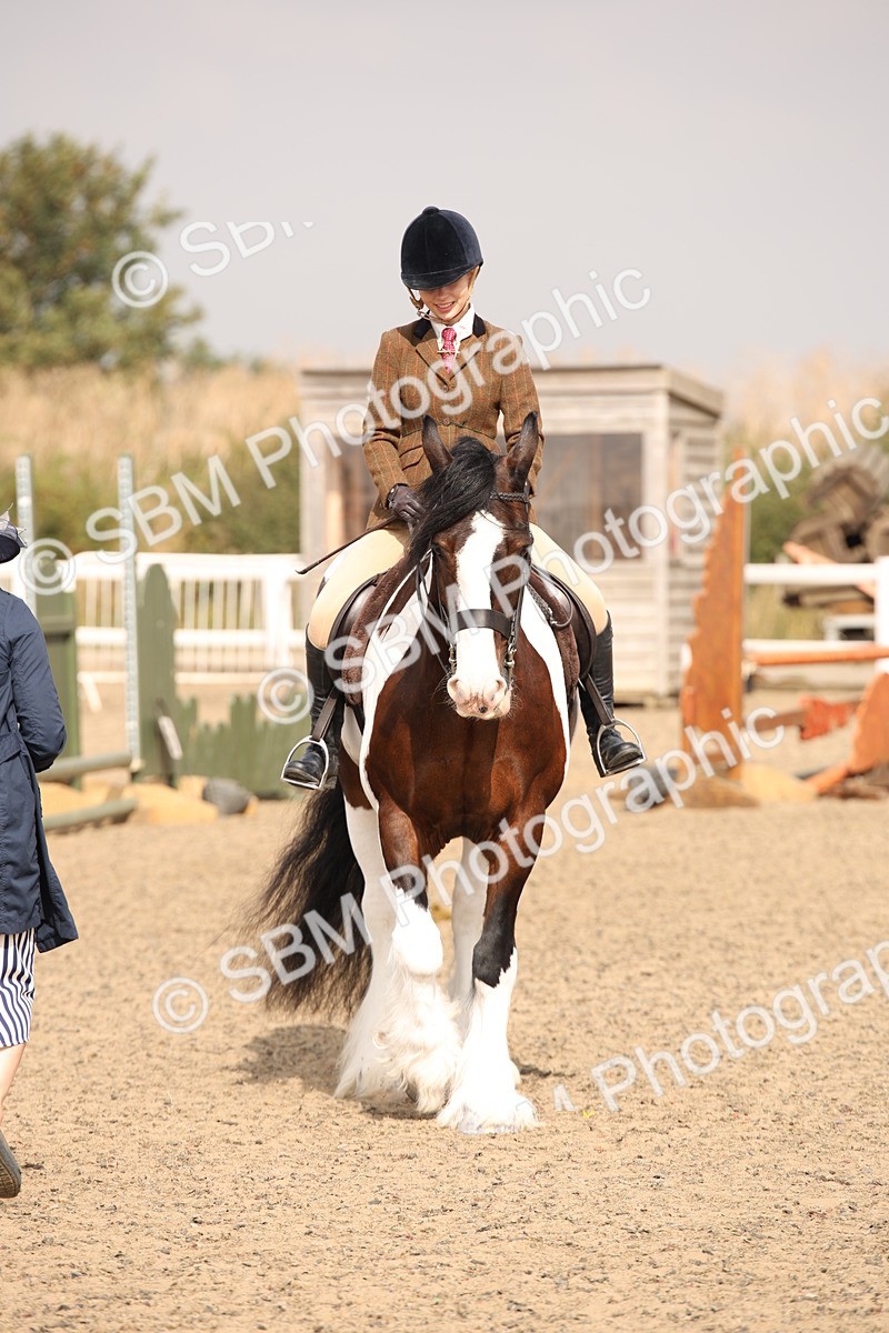 SBM_11668 - Class 404b Junior Working Veteran- 40cm(20+)