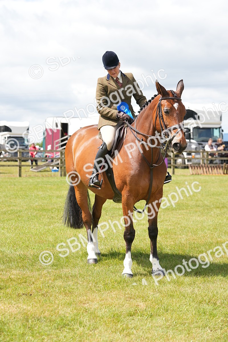 SBM_15056 - Class 100-102 - RIHS Working Hunter