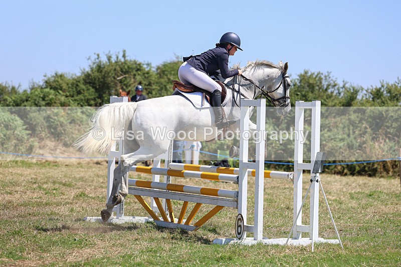 3E7A4400 - Class 10: Senior British Novice/90cm open