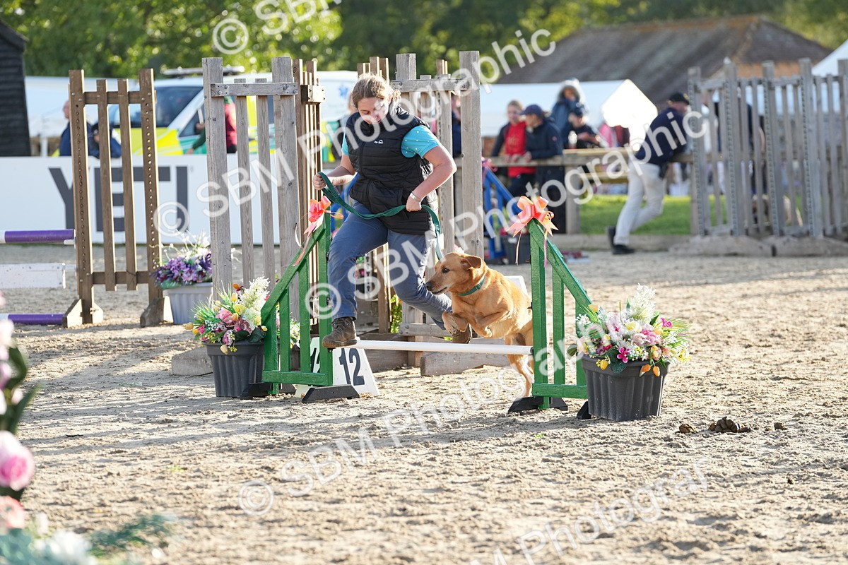 SBM_29395 - J44 - Horse & Hound Open 70cm