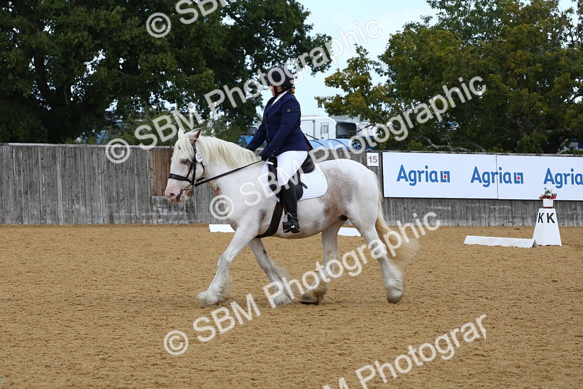 SBM_20868 - D5 - Small Tour Championshop Intro 2