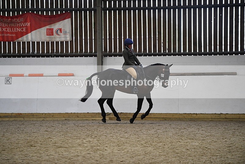 WJ5_8028 - Class 13 Ridden Part Breed