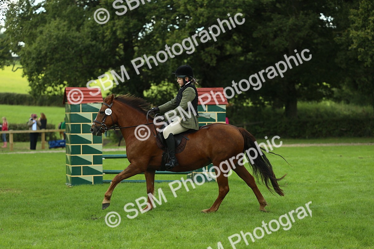 SBM_42895 - S30 - M&M Working hunter Pony