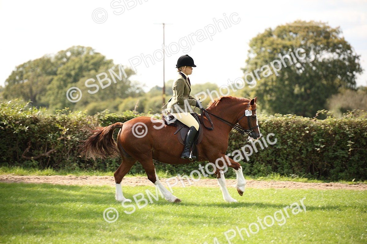 SBM_49974 - S26 - Young Veteran - Ridden