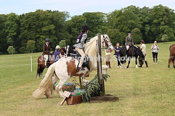 IMG_2436 - Working Hunter