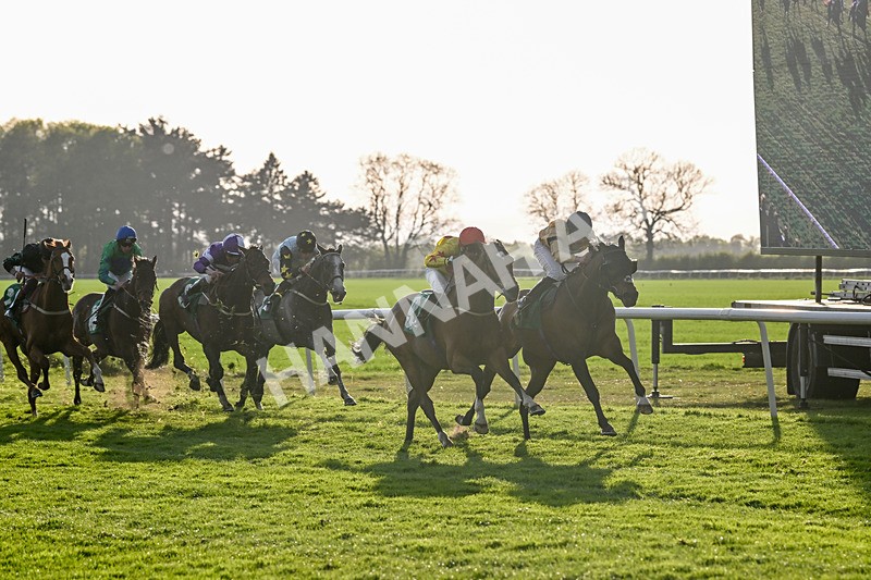 220425-Race 6-Perfectly Timed-9361 - Race 6