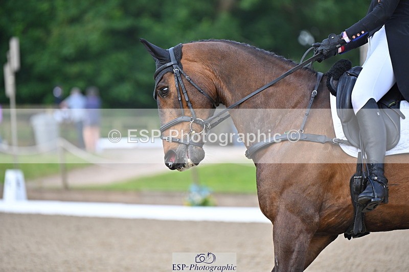 250523A-085930-05042 - C-262-Cosby.Green-LIBERO.D