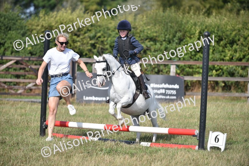 20260906-0963 - Class 7 - Absolute Novice Jumping 35cm