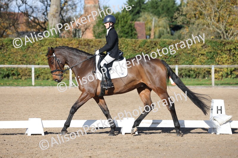 20251102-0870 - Class 5 - Elementary 5