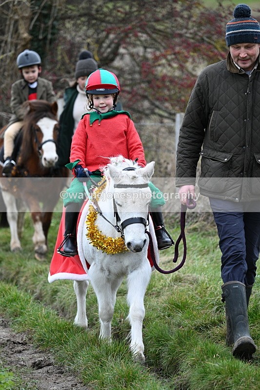 WJ7_0963 - First Seen