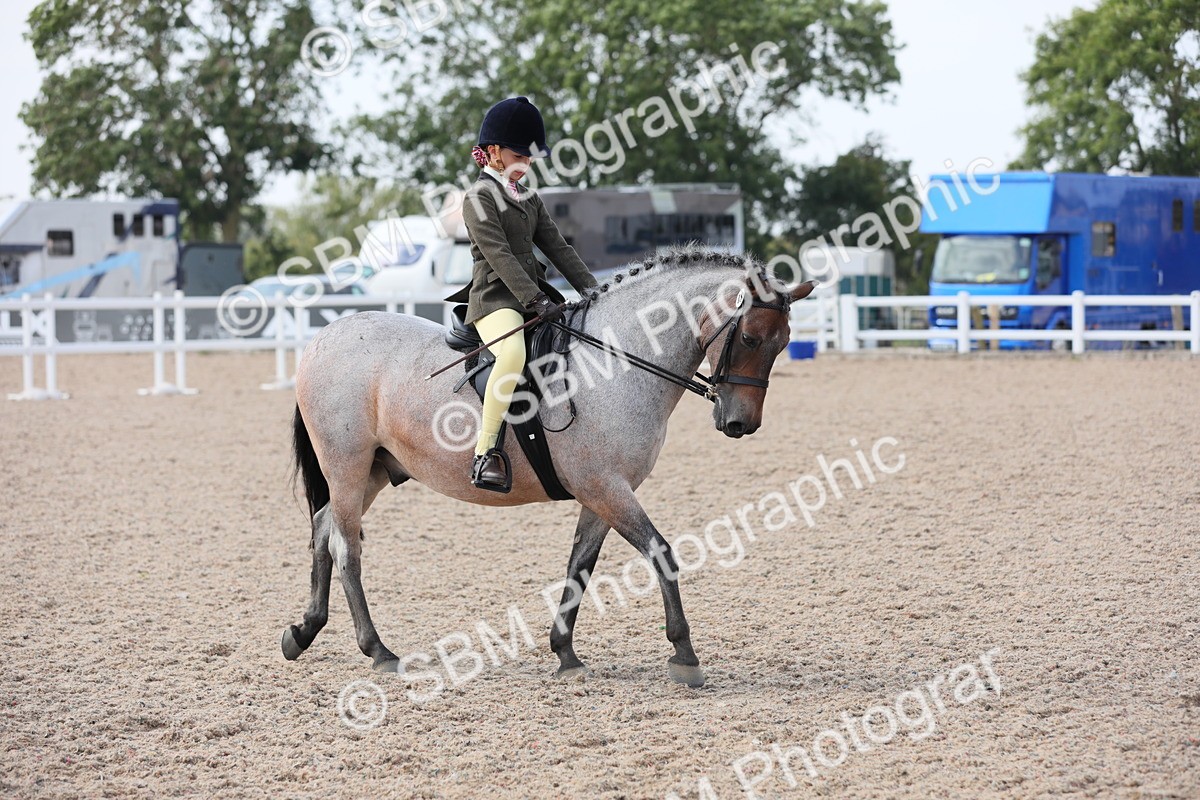 SBM_14668 - Class 310 First Ridden Pony