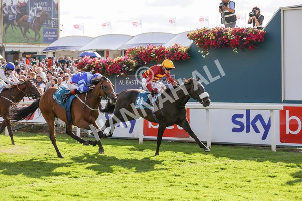 240824-Race 6-Tropical Storm-9213 - Race 6 4.45pm Julia Graves Roses Stakes
