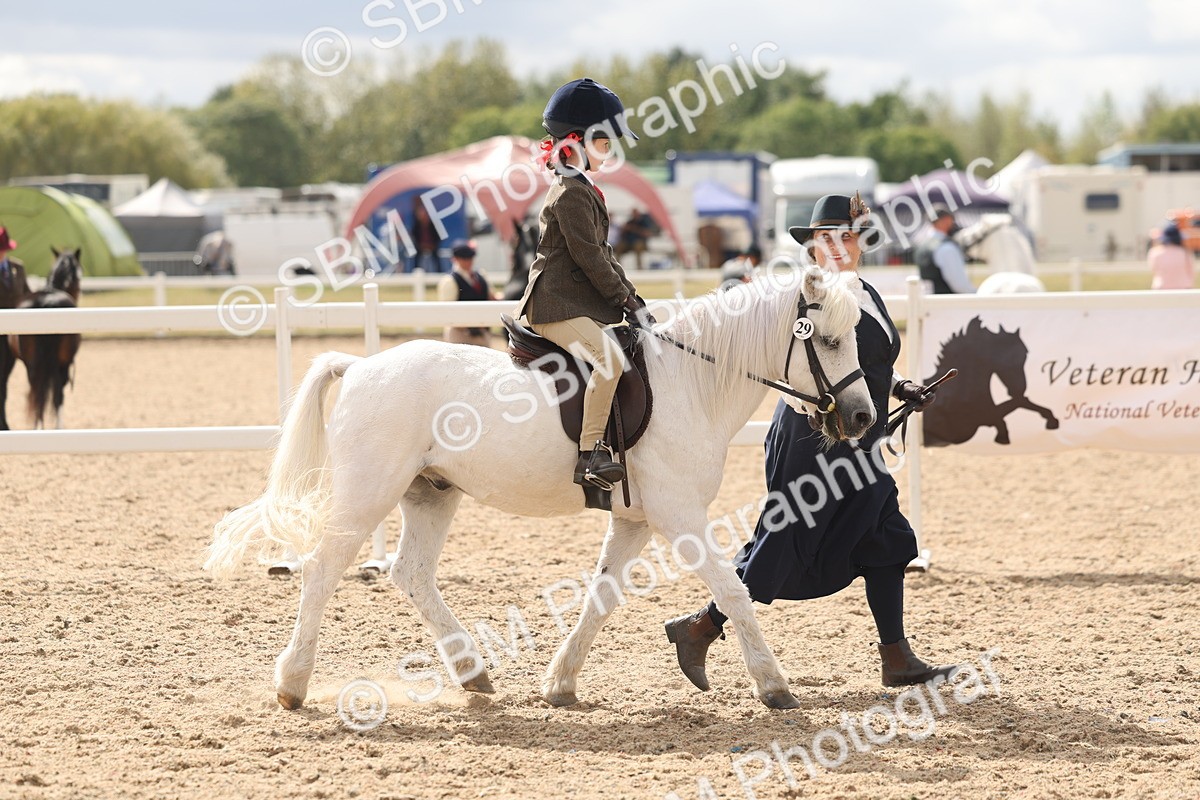 SBM_15769 - Class 309 - Lead Rein Pony