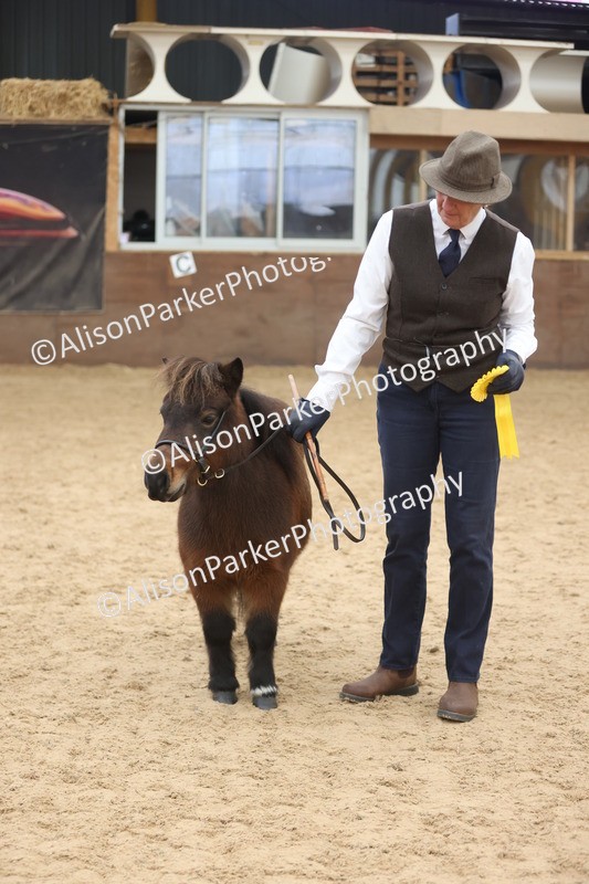 20251109-0352 - Class 13 - Mares 4 Years and Over