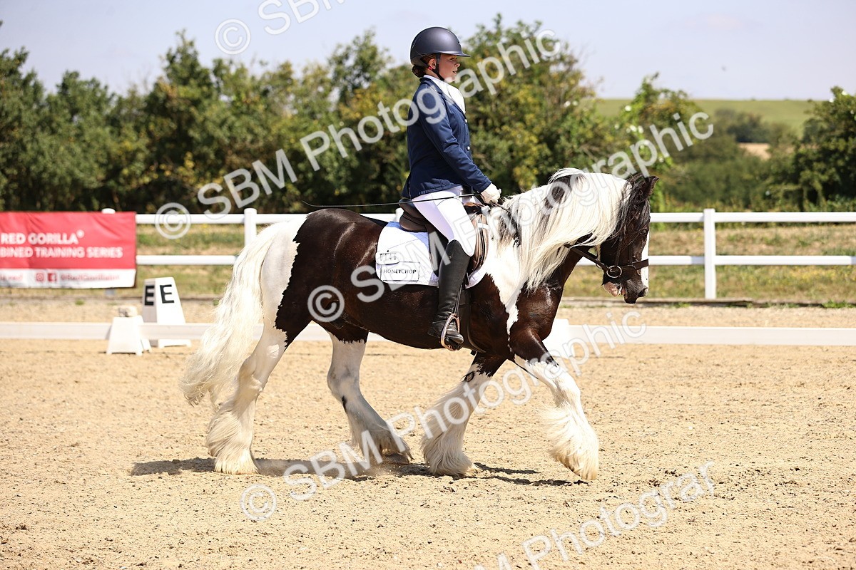 SBM_003739 - Intro 2
