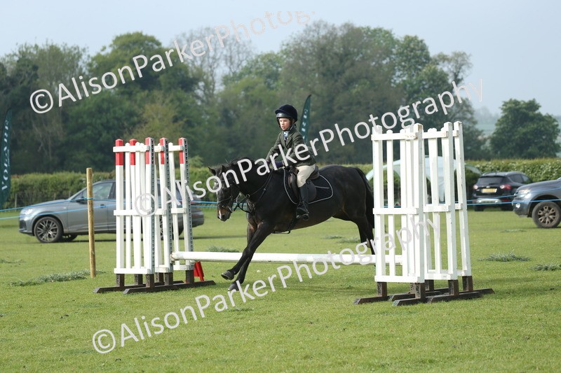 20260426-0012 - Class 13 - Rookie Jumping 50cm