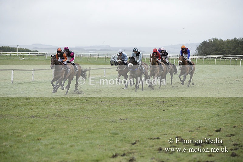 PtP 150320 0192 - New Forest Point-to-Point Larkhill 15/03/20