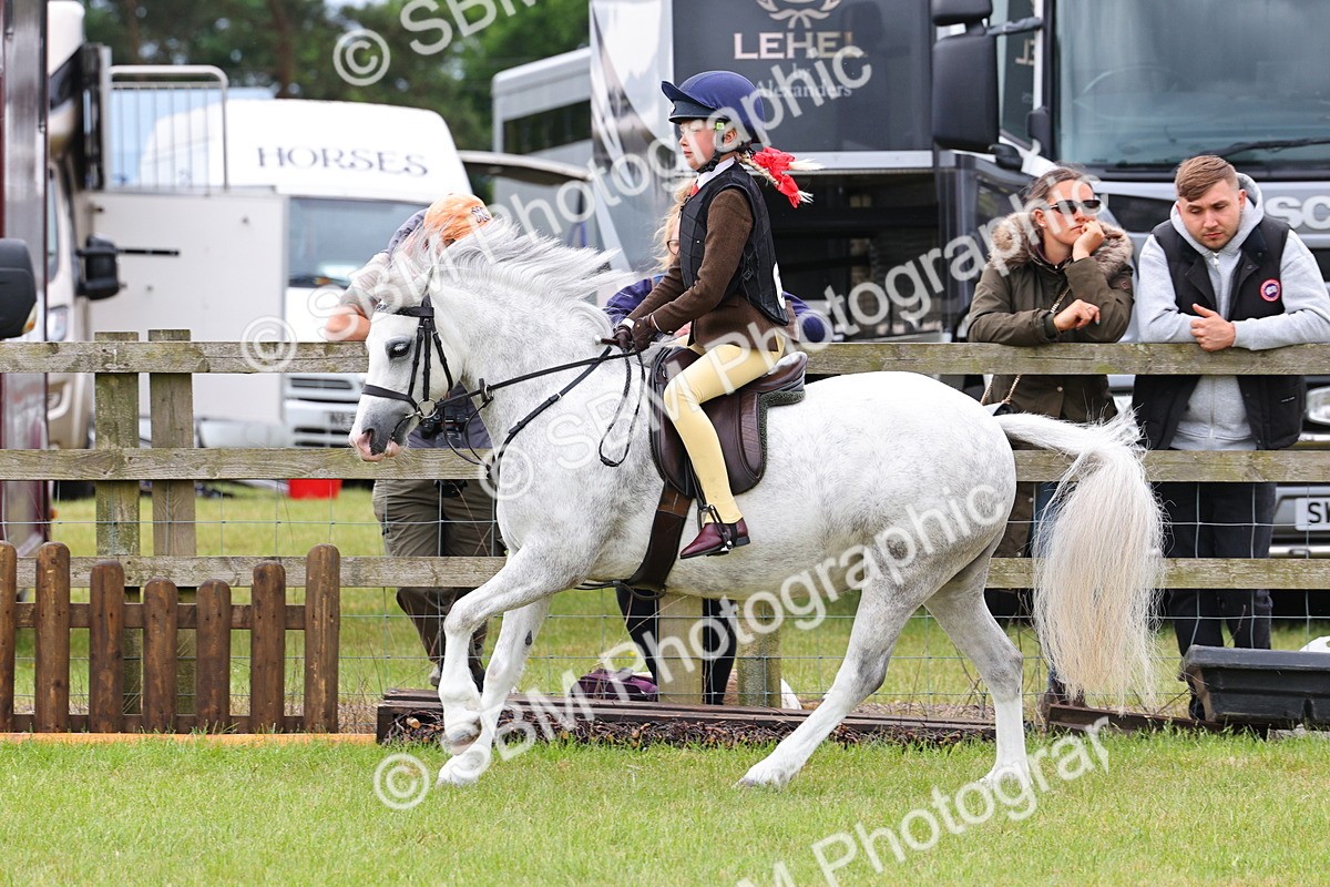 SBM_08628 - Class 42-43 - LIHS BSPS Heritage Working Sports Pony