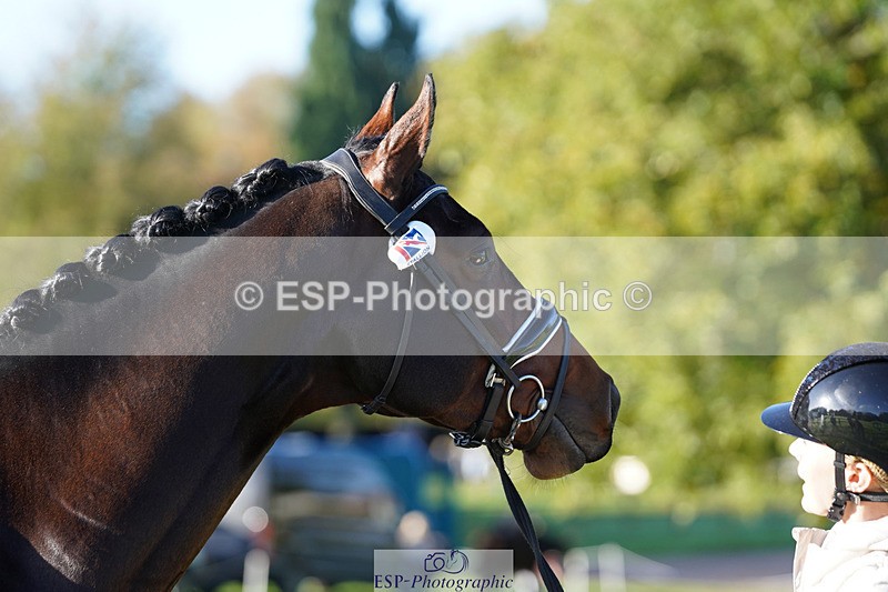 241026-101642-11737 - 012-Mollie.Summerland-SKITTEL.D'EKWI