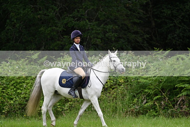 WJ7_3816 - Class 14A Handsome Gelding