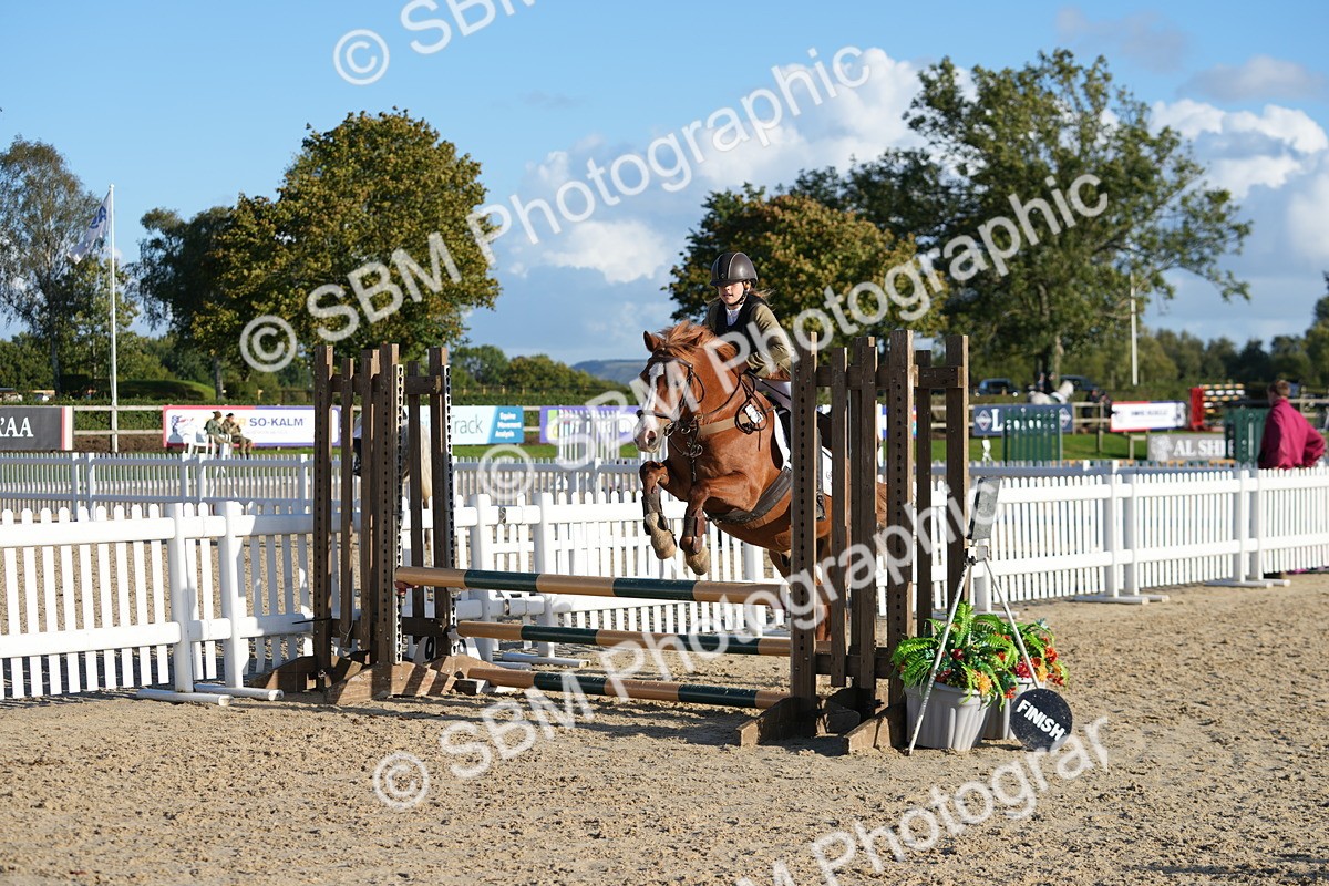 SBM_53734 - J8 - Junior Pony 65cm Championship