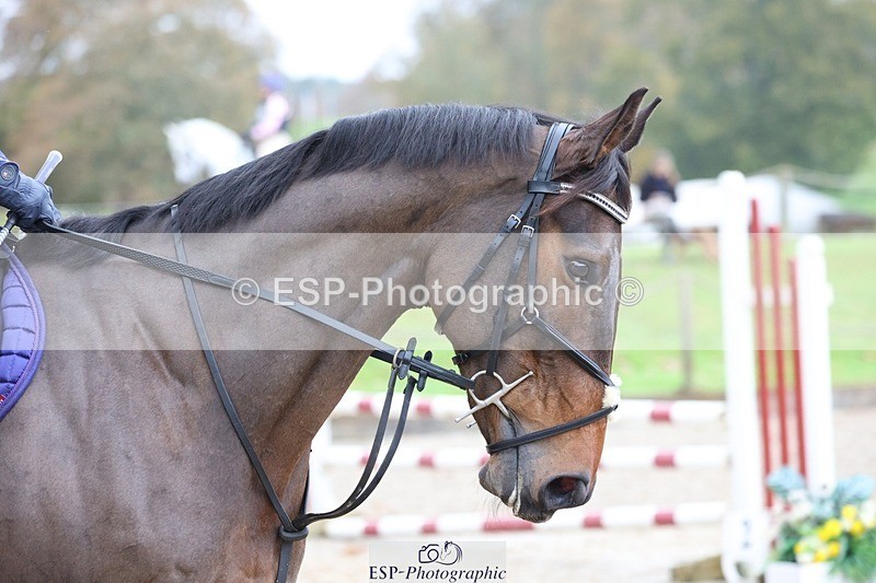 231118-121647-01545 - Cls 2 80cm 11.30 to End