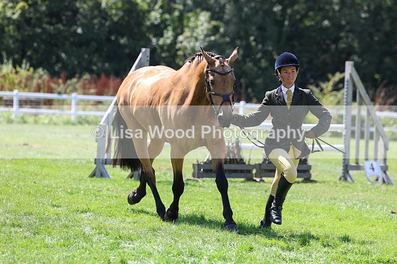 3E7A9079 - Class 6: Open Working Horse