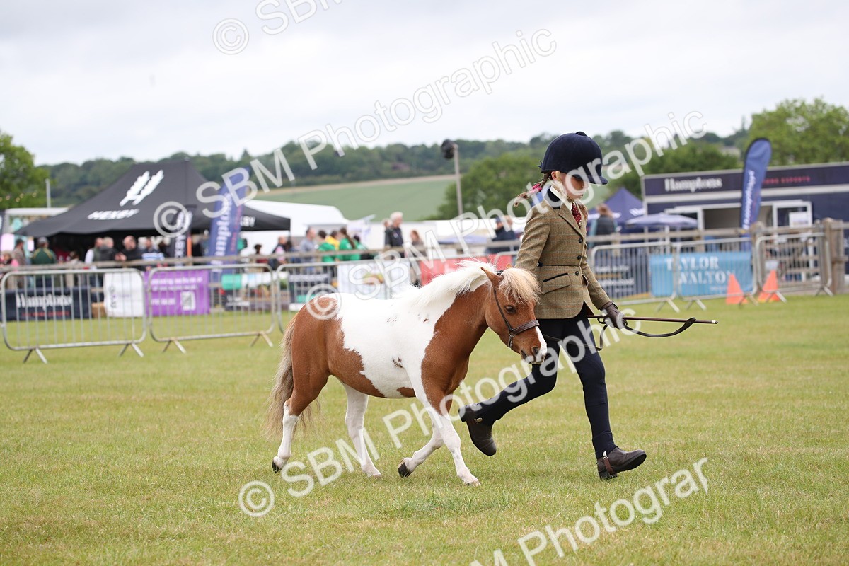 SBM_03951 - Class 23-25 - British Miniature Horse of the Year