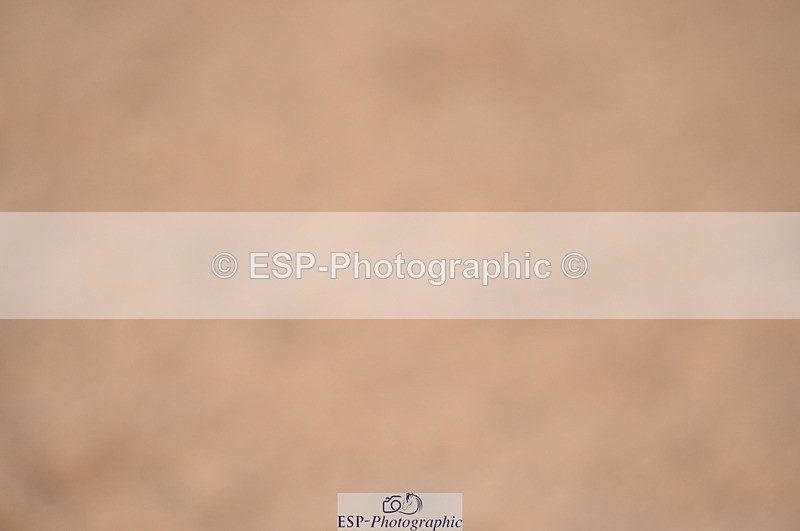 240306A-141426-01603 - Cls 4 Newcomers and 1.10m Open