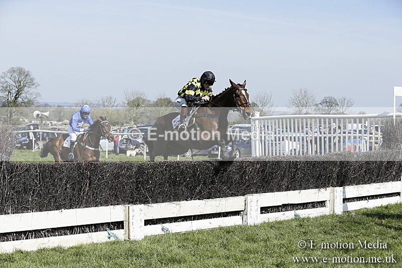 PtP 260317 93 - Mendip Farmers Point-to-Point Ston Easton 26/03/17