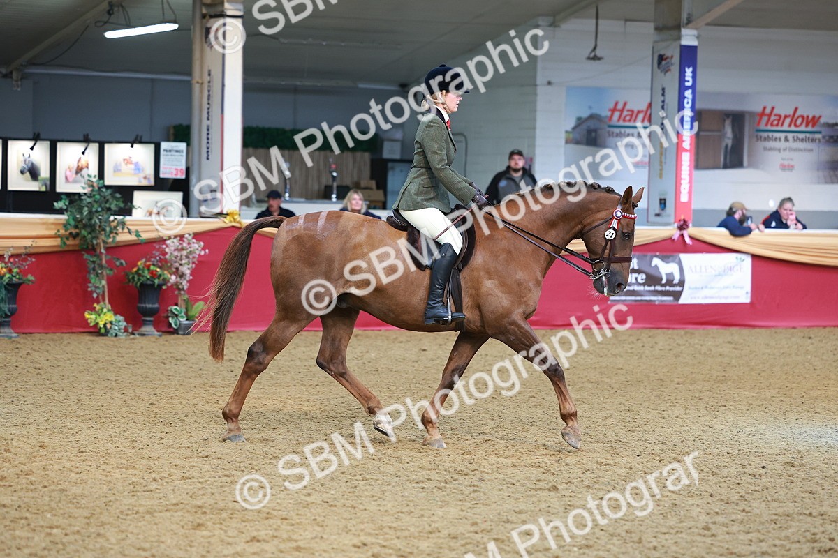 SBM_09774 - Class 102 - HOYS Veteran Qualifier - Ridden Veteran