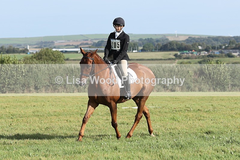 JPP_8019 - Class 2A: Trekenning Open: Dressage