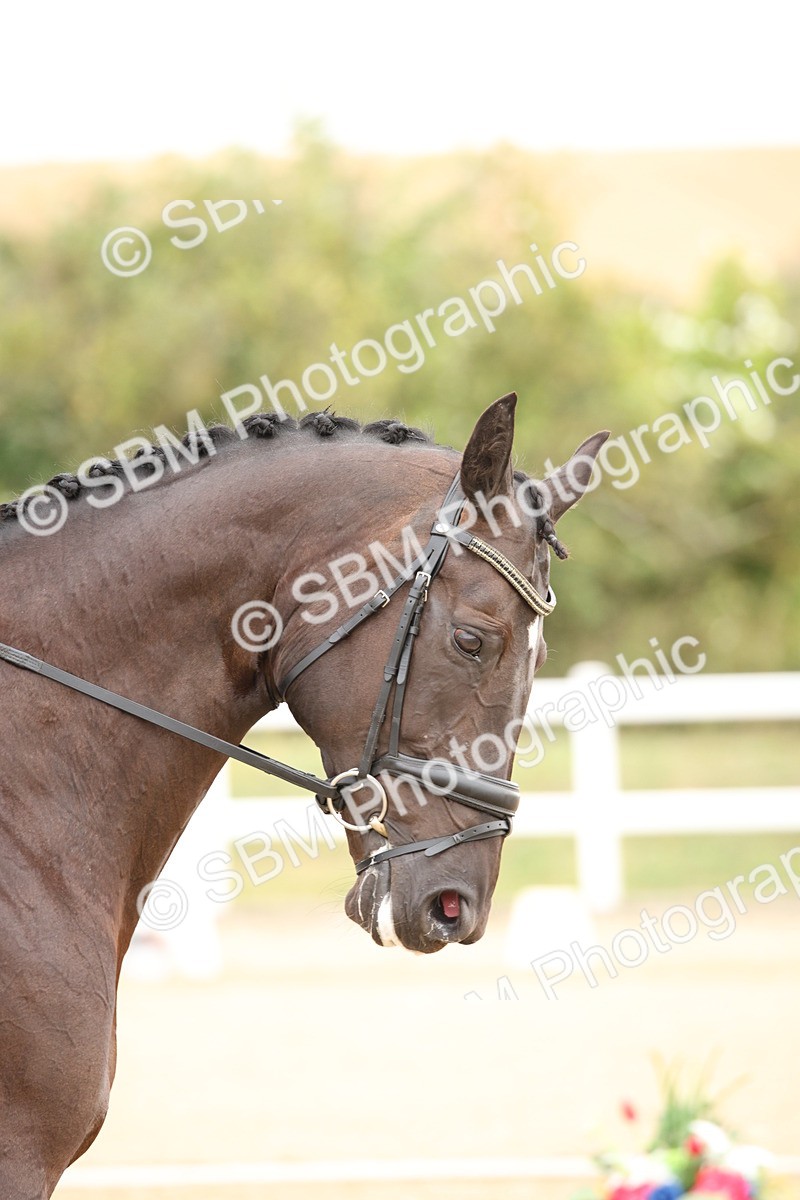 SBM_019295 - Class 22 - Medium 73 - 9.24-10.12