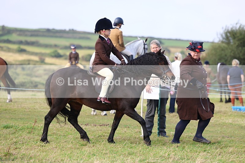 3E7A3408 - Class 2: Lead rein